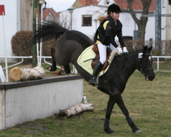 In der Ponykonkurrenz beim Bundes-Nachwuchschampionat wurde Stina Packheiser mit Hannes Neunte.